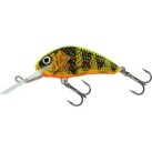 Gold Fluo Perch