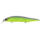 Mat Green Lizard
