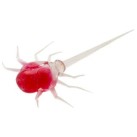 Snozberry