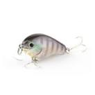 GILL