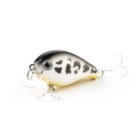 White Bass