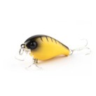Yellow Centipede