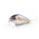 MS American Shad