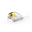MS Japan Shad