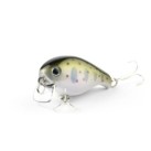 Energy Baby May Salmon