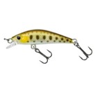 Trout Ayu