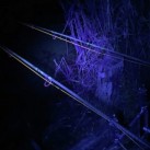 Žibintuvėlis Anaconda Vipex UV Blackflash 68 Žibintuvėlis Anaconda Vipex UV Blackflash 68