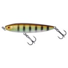 Wild Perch