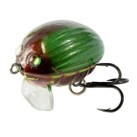  Green Bug