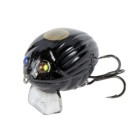 Black Bug