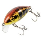 Baby Minnow