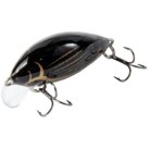 Diving Beetle