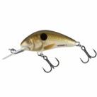 Pearl Shad