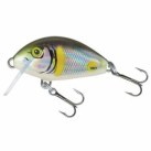 Smelt