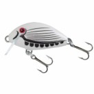 White Bait