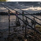 Meškerės ir ritės šamams