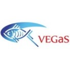 Vegas