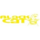 Black Cat