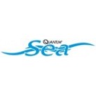 Quantum Sea