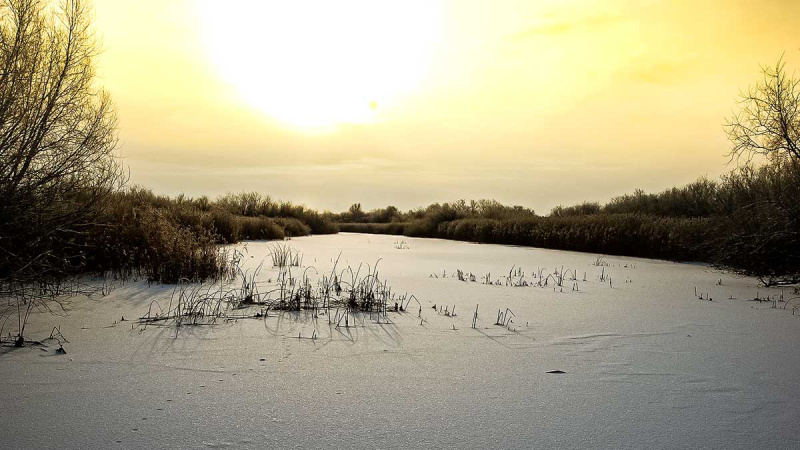 Poledinė lydekų žūklė švytuoklėmis – pasakyti turiu dar daug ką...