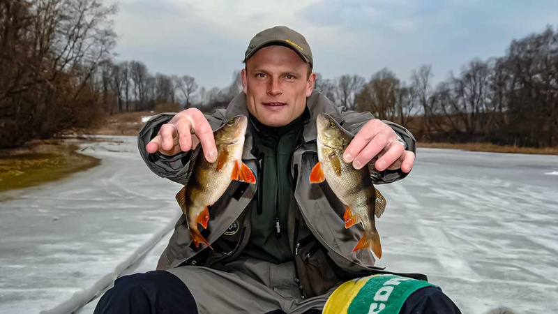 Ant ledo su švytuokle. Pirma dalis