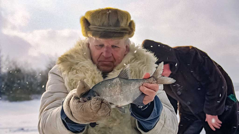 Viduržiemy su avižėle