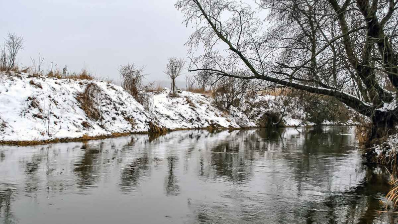 Kaip gaudyti nekimbančius šapalus