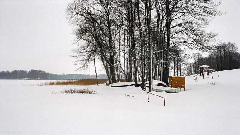 Meldynų karalijoje. Antra dalis
