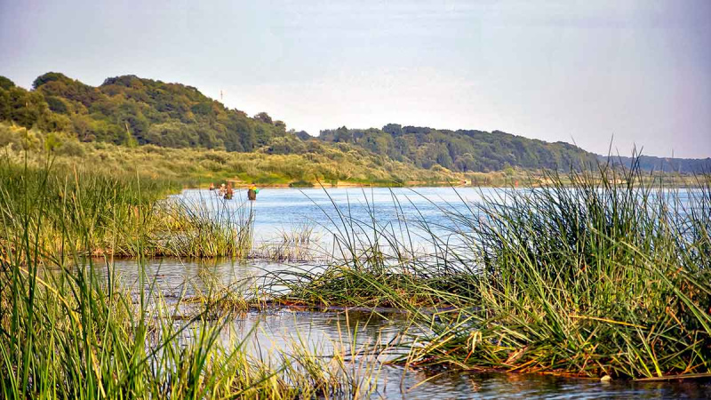 Didelių upių karšiai. Antra dalis