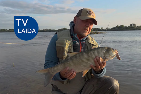 Didieji Nemuno dambų Šapalai