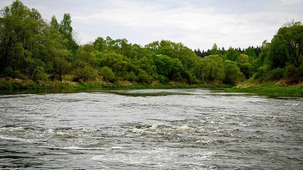 Žiobrinės prie Šventosios