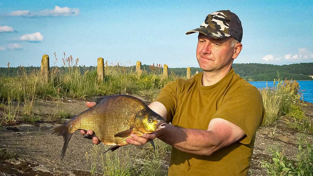 Žvaigždžių skaičiavimas. Pirma dalis