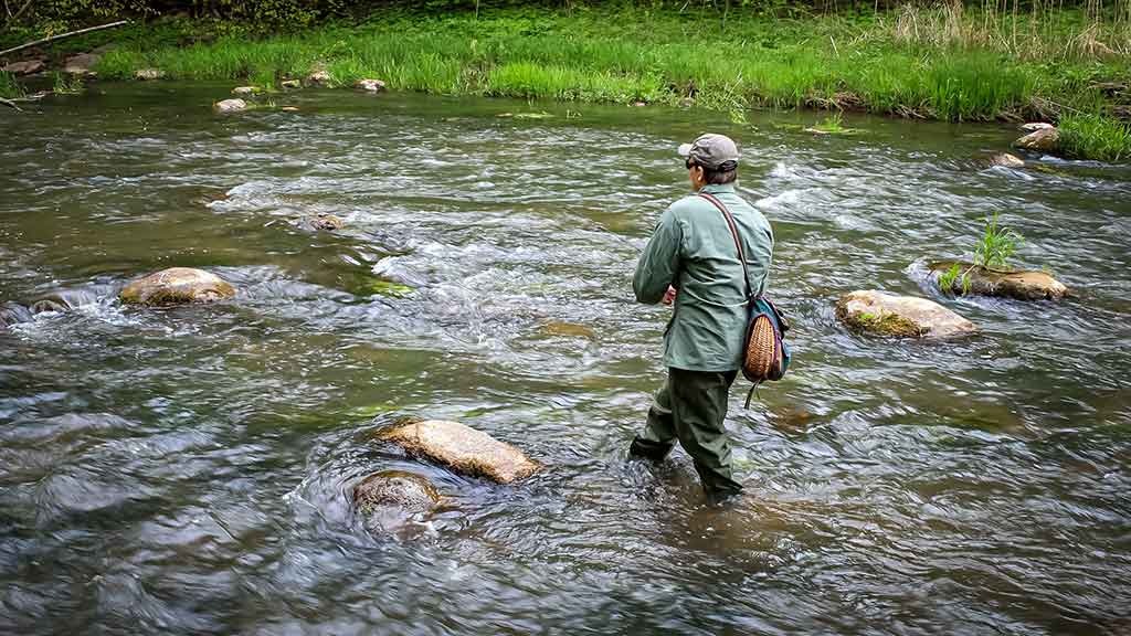 Šventosios kaprizai arba ką gali tinkama vieta. Pirma dalis