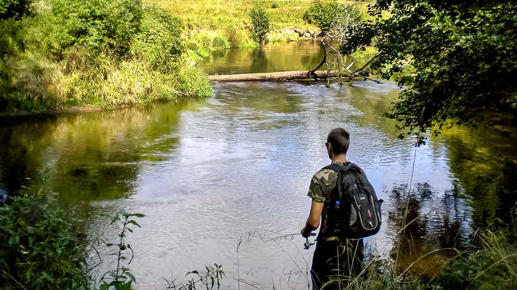 Šventosios kaprizai arba ką gali tinkama vieta. Antra dalis