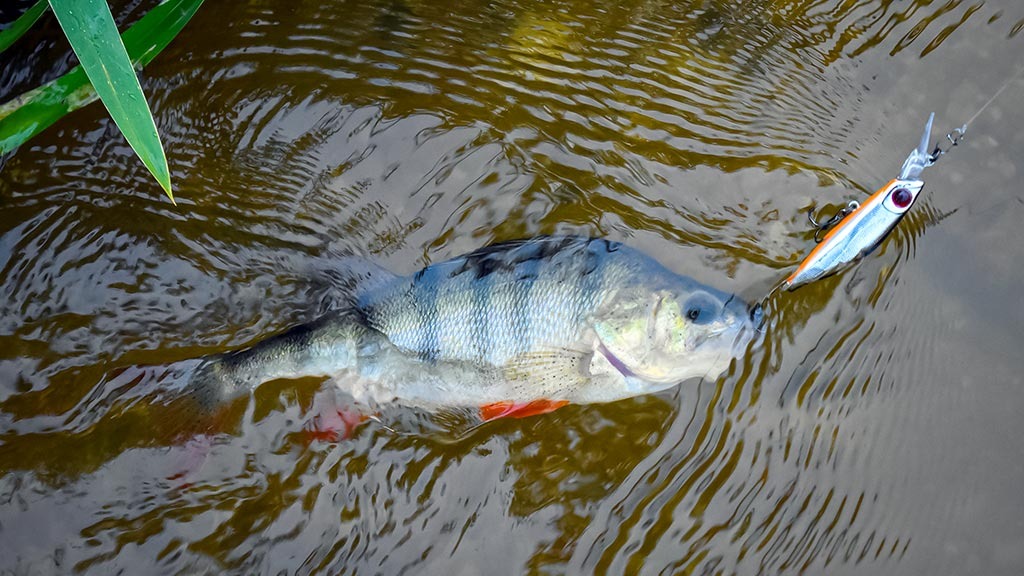 Čia Lietuva, čia lietūs lyja... Pirma dalis