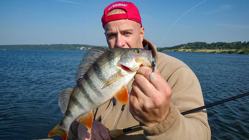 Kaip „reanimuoti“ guminukus
