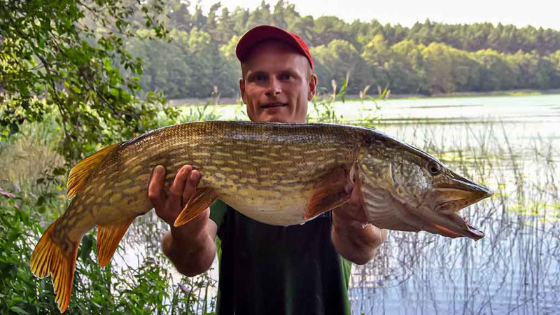 Mažesnių nei metras – negaudysim! Bendrais bruožais apie masalus