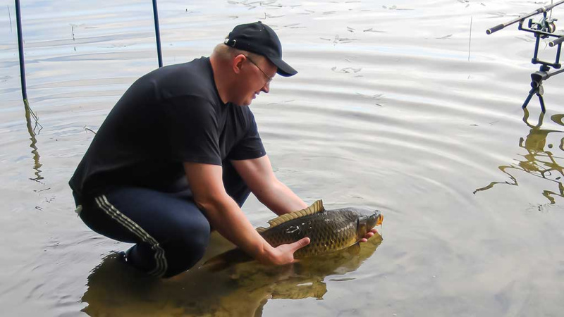 Kaip pagauti Nemune karpį. Masalų ir žūklaviečių paieškos