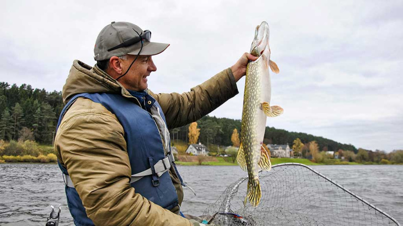 Ruduo, velkė ir minnow vobleriai. Ketvirta dalis