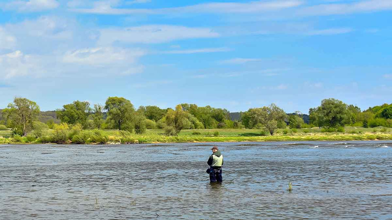 Dviejų uodegėlių fenomenas. Trečia dalis