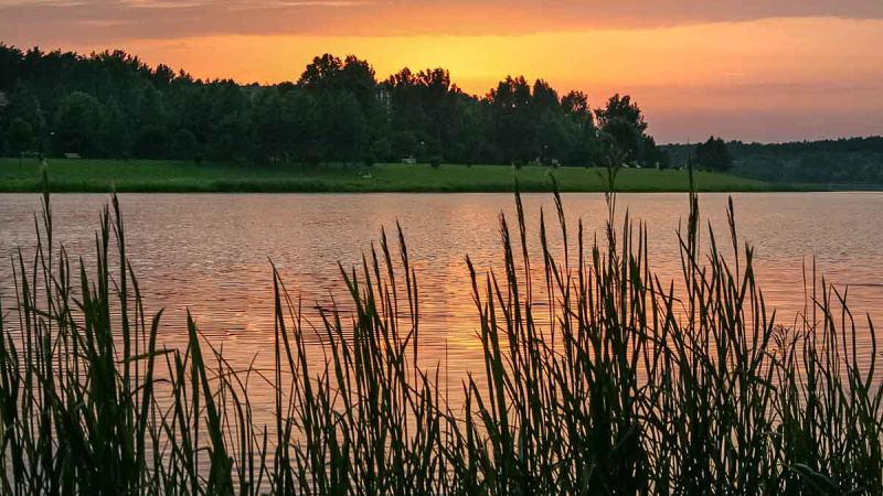 Karosus – dugnine meškere. Pirma dalis