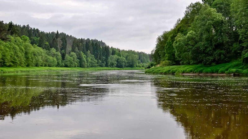 Ne tik salatiniai delikatesai. Pirma dalis