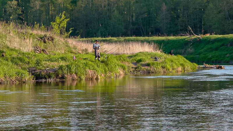 Plačiau apie viršūnėles ir šiek tiek apie dugnines. Antra dalis