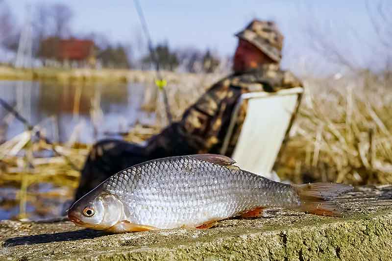Dugninė žiemą