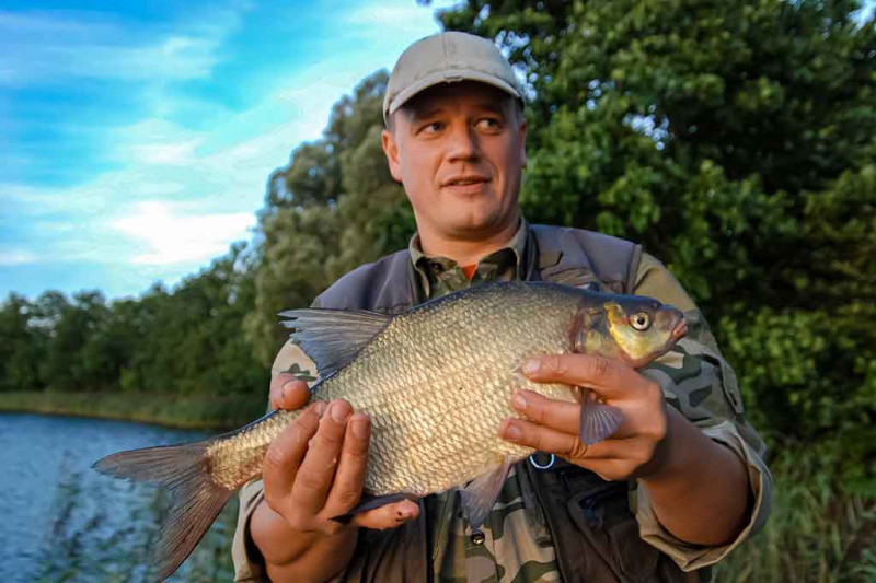 Karšius žvejoju taip... Apie kirtimą ir traukimą