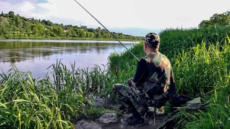 Kaip prisivilioti „nuosavą“ karšį. Jaukai, jaukinimo taktika ir masalai