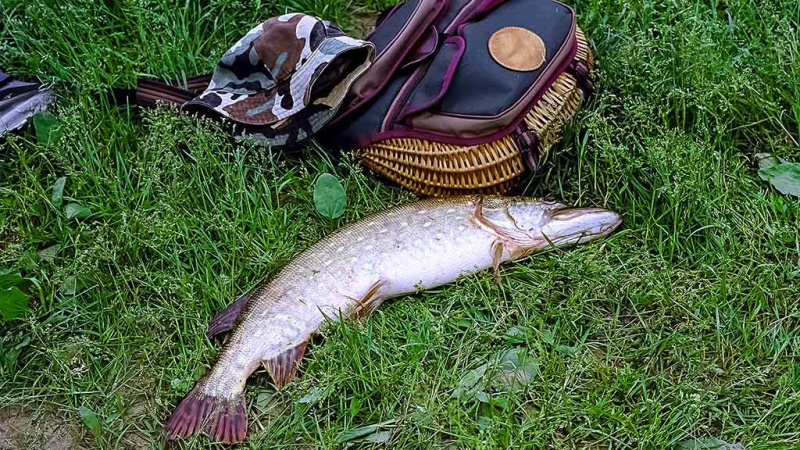 Nemunas nuo Merkinės iki Alytaus. Dvi skirtingos dienos