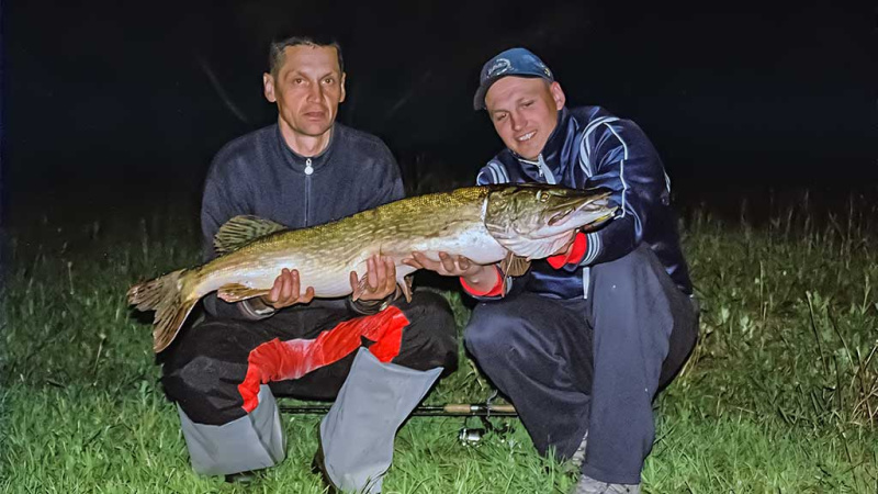Spiningavimas naktį vėlyvą rudenį. Valas ir pavadėliai