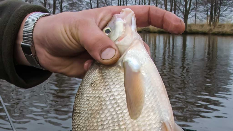 Karšių – į Nemuno žemupį. Pirma dalis