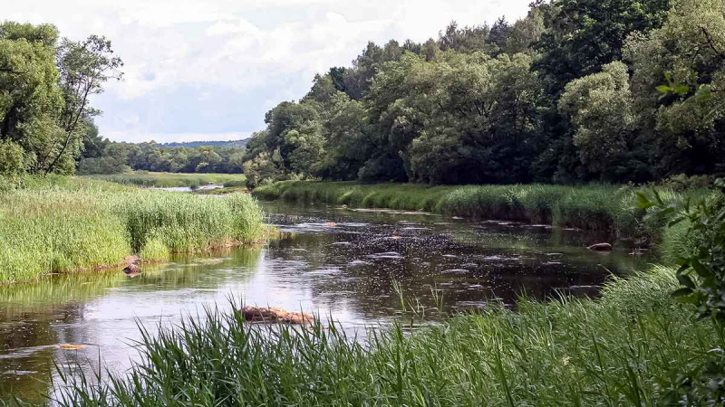 Paslaptingi Dubysos vingiai. Su spiningu – dar įdomiau
